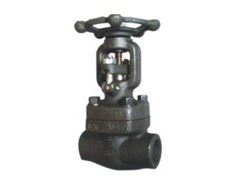 ANSI standard socket welding wedge forged steel gate valve