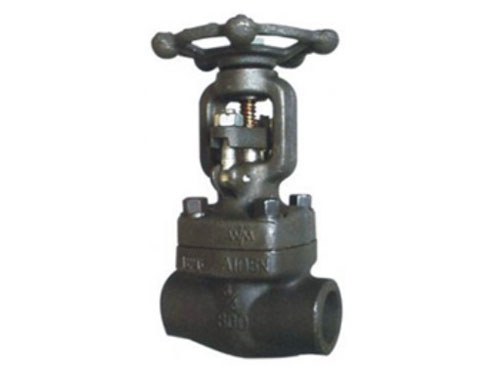 ANSI standard socket weld internal thread forged steel globe valve