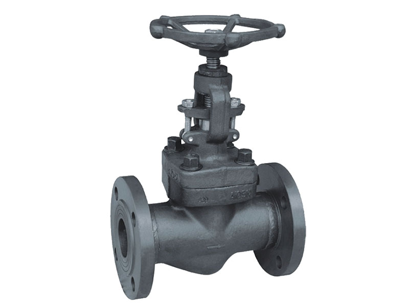 ANSI standard flange forged steel globe valve