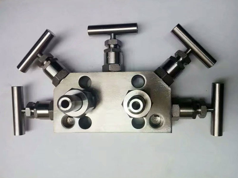 Five valve manifold